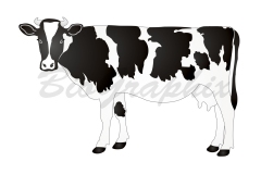 41_Animals Cow