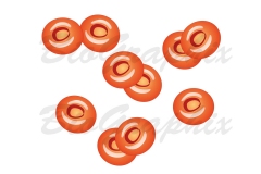 01_Cells and Tissues Erythrocytes