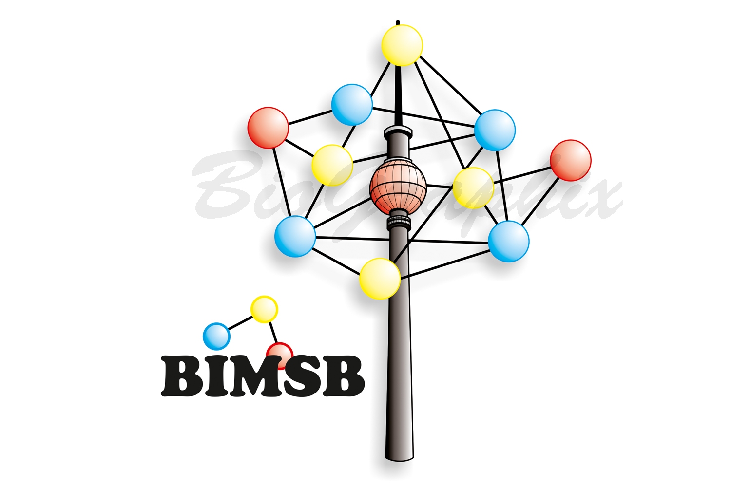 01_Logos Logo BIMSB B