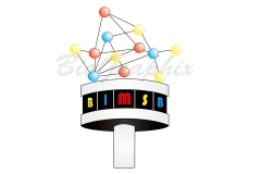 00_Logos Logo BIMSB A