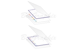 01_Methods_Western-Blot