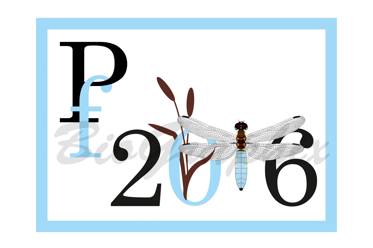 05_PF_PF2016-Dragonfly