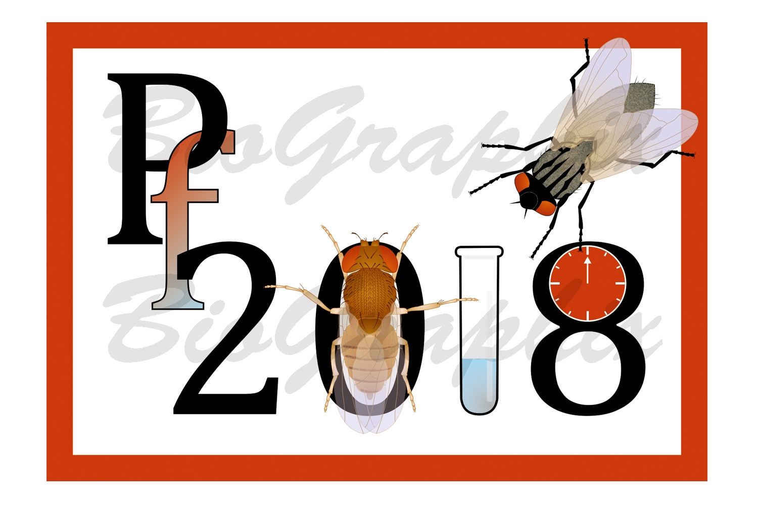 11_PF_PF2018-Drosophila-Housefly