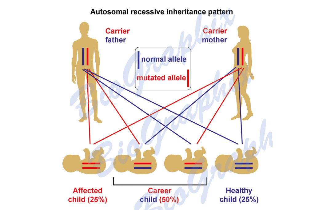 autosomal recessive inheritance